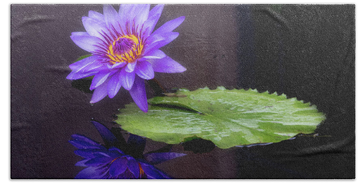 Floral Beach Towel featuring the photograph Reflecting #1 by Usha Peddamatham