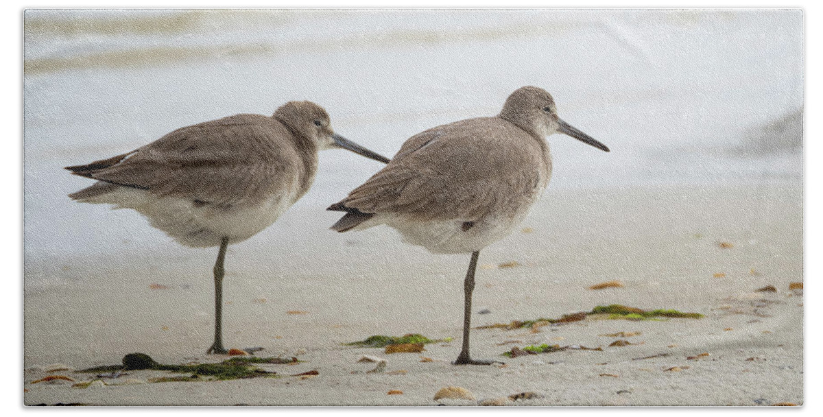 Wildlife Beach Towel featuring the photograph Sandpipers #1 by Twenty Two North Photography