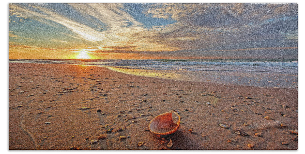 Alabama Beach Towel featuring the photograph Seashell by the Seashore #1 by Michael Thomas