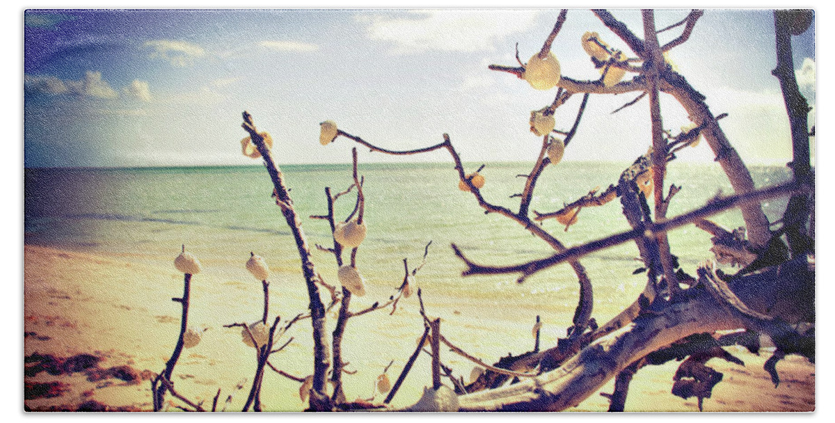Bahia Beach Towel featuring the photograph Shell Tree #2 by Carolyn Hutchins
