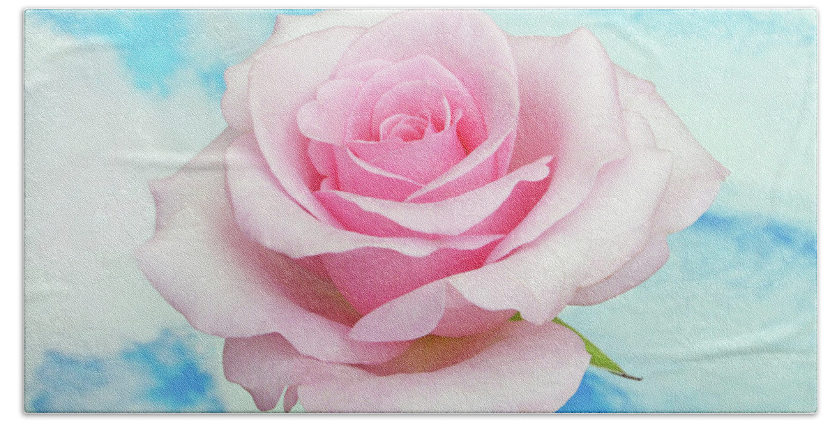 Roses Beach Towel featuring the photograph Sky Pink Rose #1 by Terence Davis