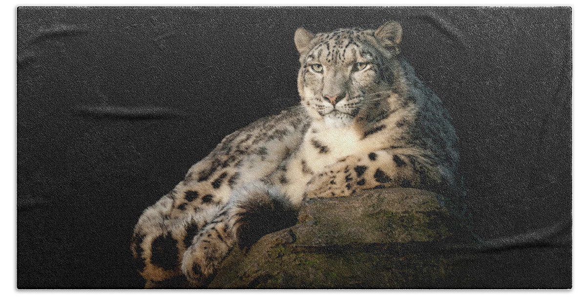Animal Beach Towel featuring the photograph Snow Leopard portrait #1 by Chris Boulton