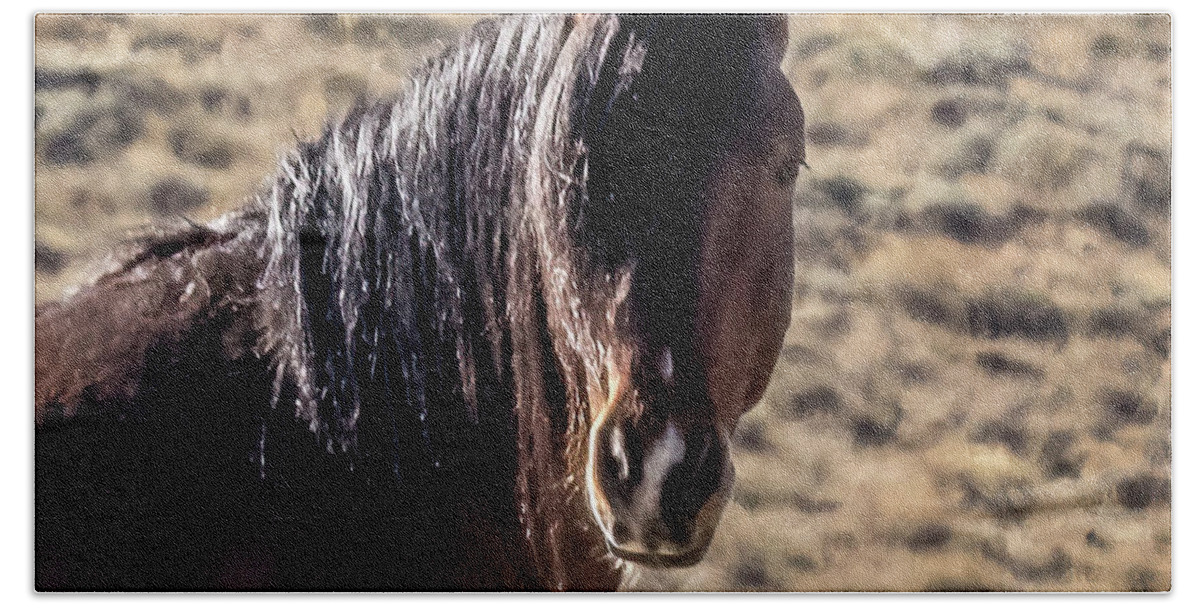 Horse Beach Towel featuring the photograph Stallion #1 by Laura Terriere