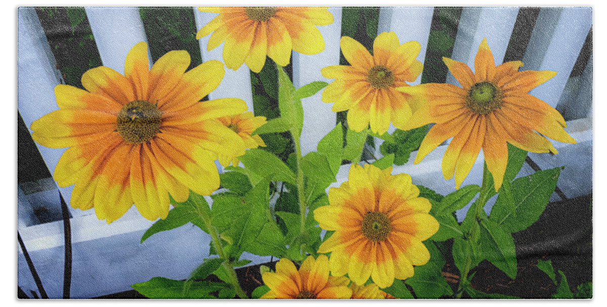 Orange Massachusetts Beach Towel featuring the photograph Summer Flowers #1 by Tom Singleton