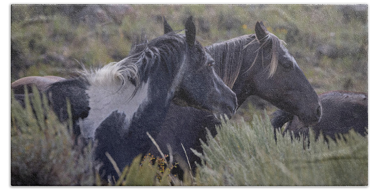 Horse Beach Towel featuring the photograph Wild Horses #1 by Laura Terriere
