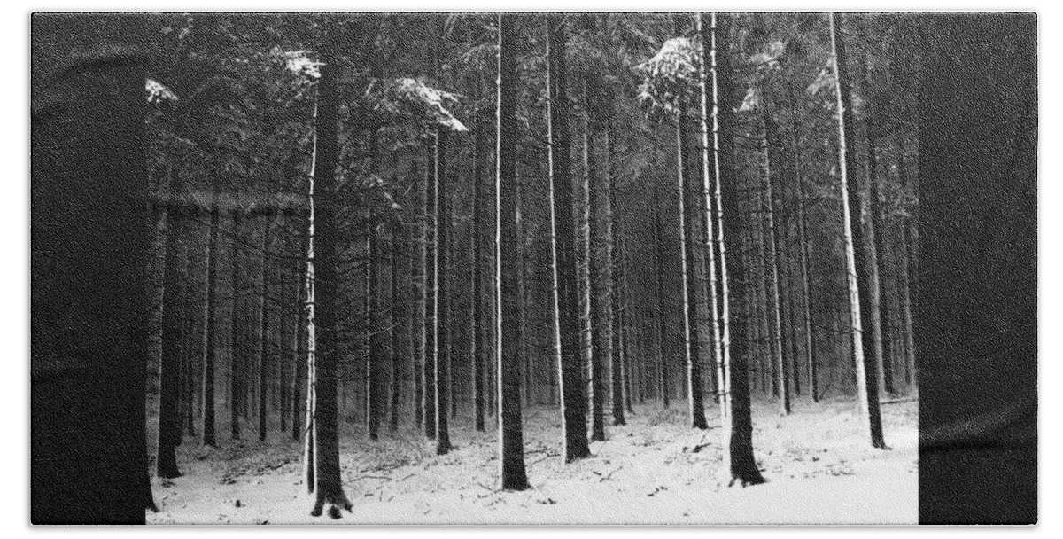 Trees Beach Towel featuring the photograph Winter Woods in Black and White by Robert Dann