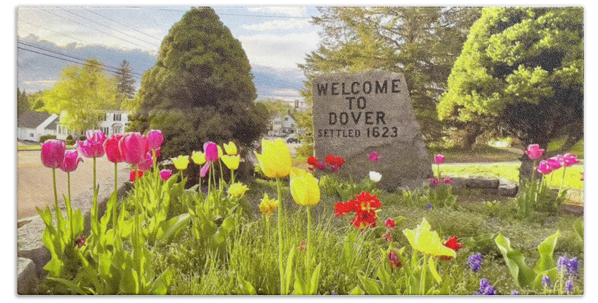  Beach Towel featuring the photograph Dover #10 by John Gisis