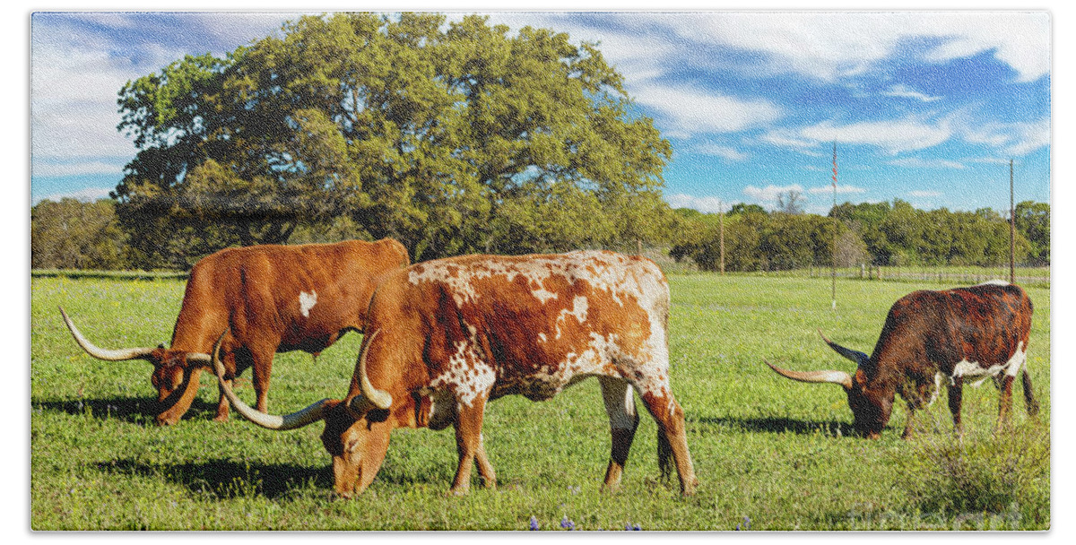 African Breed Beach Towel featuring the photograph Texas Hill Country #11 by Raul Rodriguez