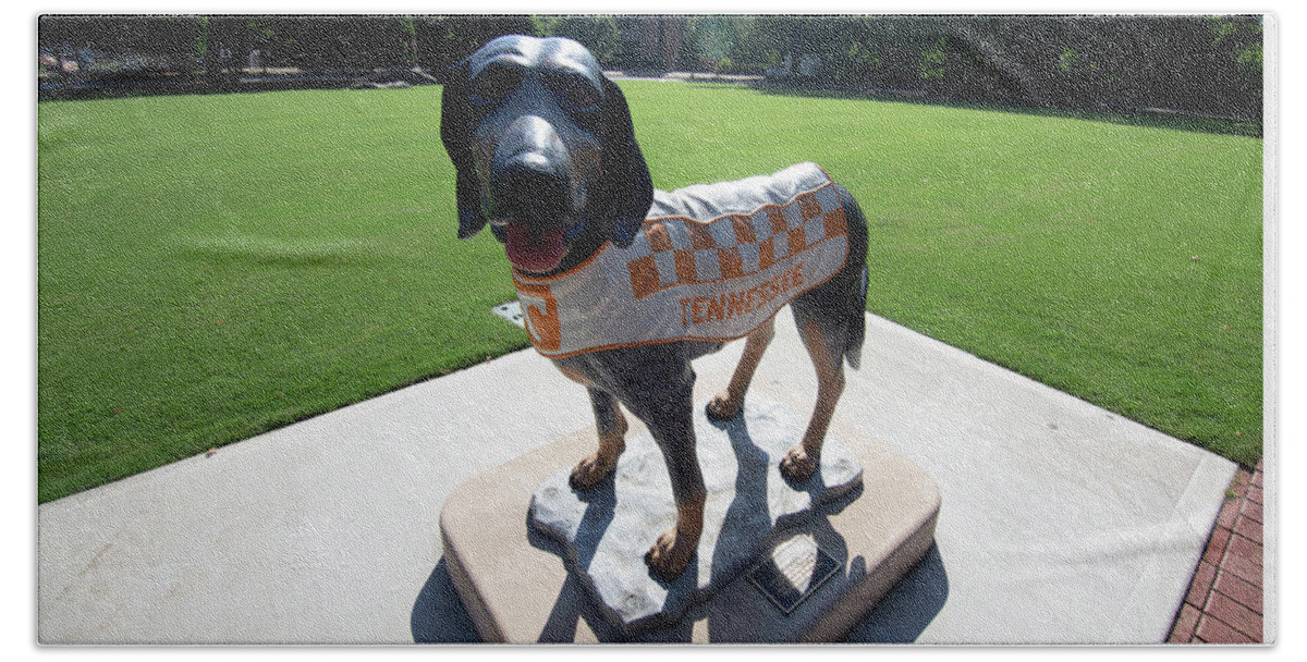 Tennessee Vols Beach Towel featuring the photograph University of Tennesse Smokey Statue #2 by Eldon McGraw