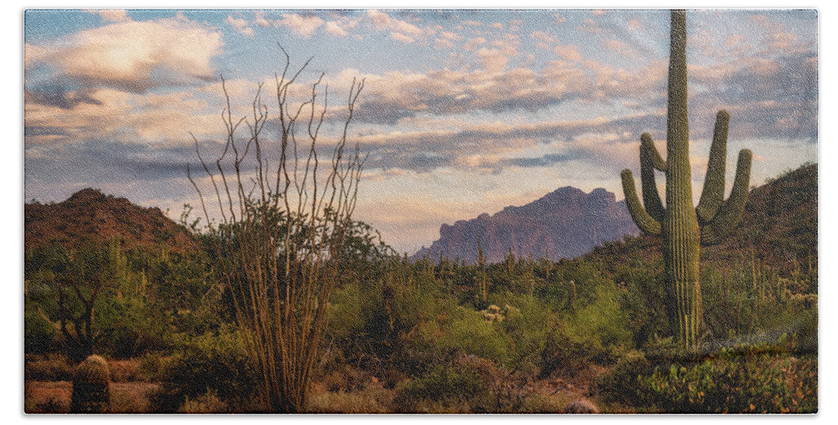 Saguaro Sunset Beach Sheet featuring the photograph A Beautiful Desert Evening #2 by Saija Lehtonen