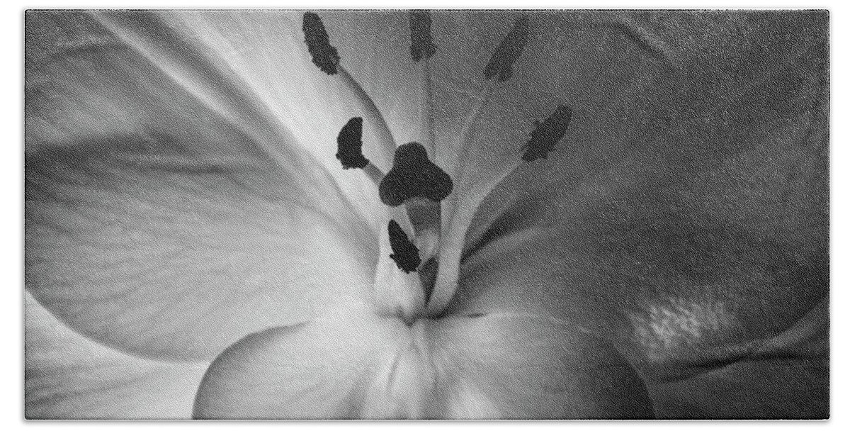 Black And White Beach Towel featuring the photograph Black And White Flower #2 by Gunnar Orn Arnason