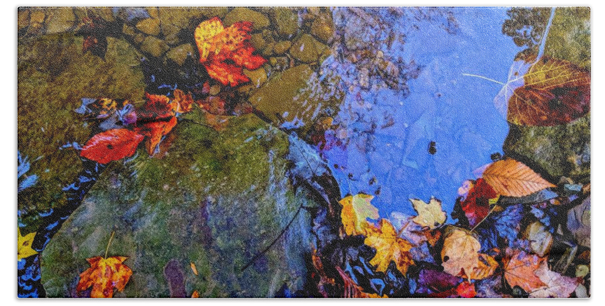  Beach Towel featuring the photograph Fall Leaves by Brad Nellis