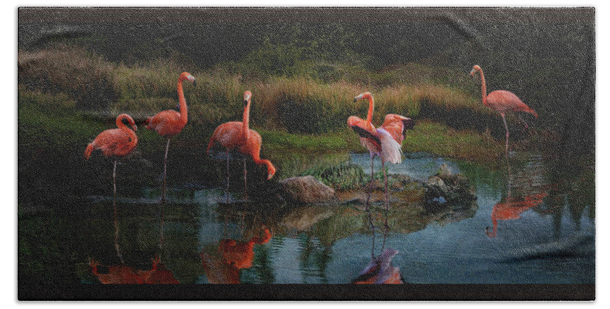 Pink Flamingo Beach Towel featuring the photograph Flamingo Convention #2 by Melinda Hughes-Berland