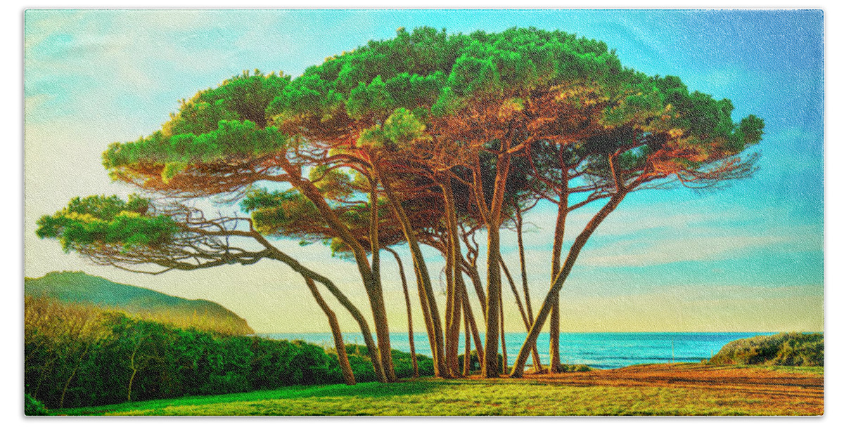 Baratti Beach Towel featuring the photograph Maritime Pine tree group near sea and beach. Baratti, Tuscany. by Stefano Orazzini