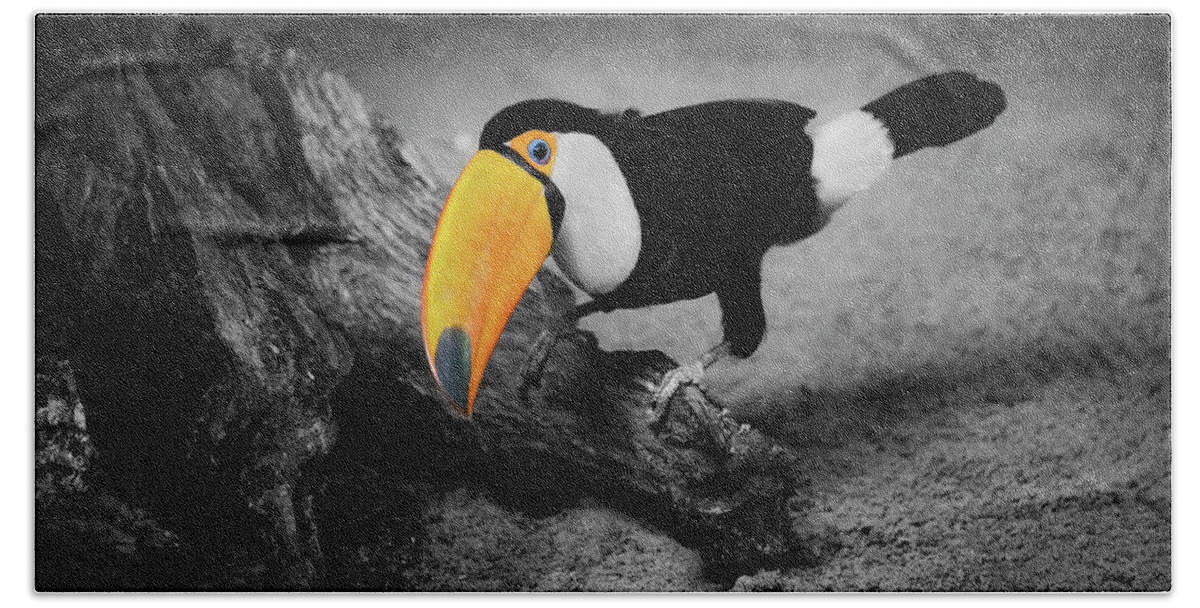 Toco Beach Towel featuring the photograph Toco Toucan Sitting on Tree Trunk #2 by Artur Bogacki