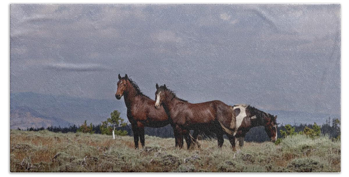 Horse Beach Towel featuring the photograph Wild Horses #23 by Laura Terriere