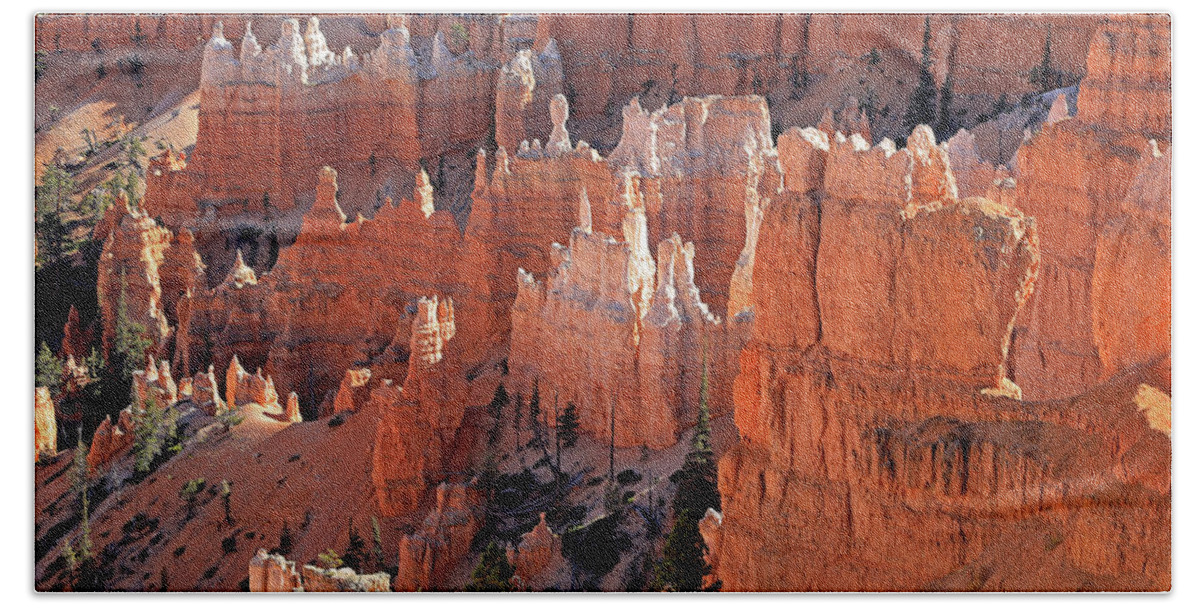 Bryce Canyon National Park Beach Towel featuring the photograph Bryce Canyon National Park by Richard Krebs