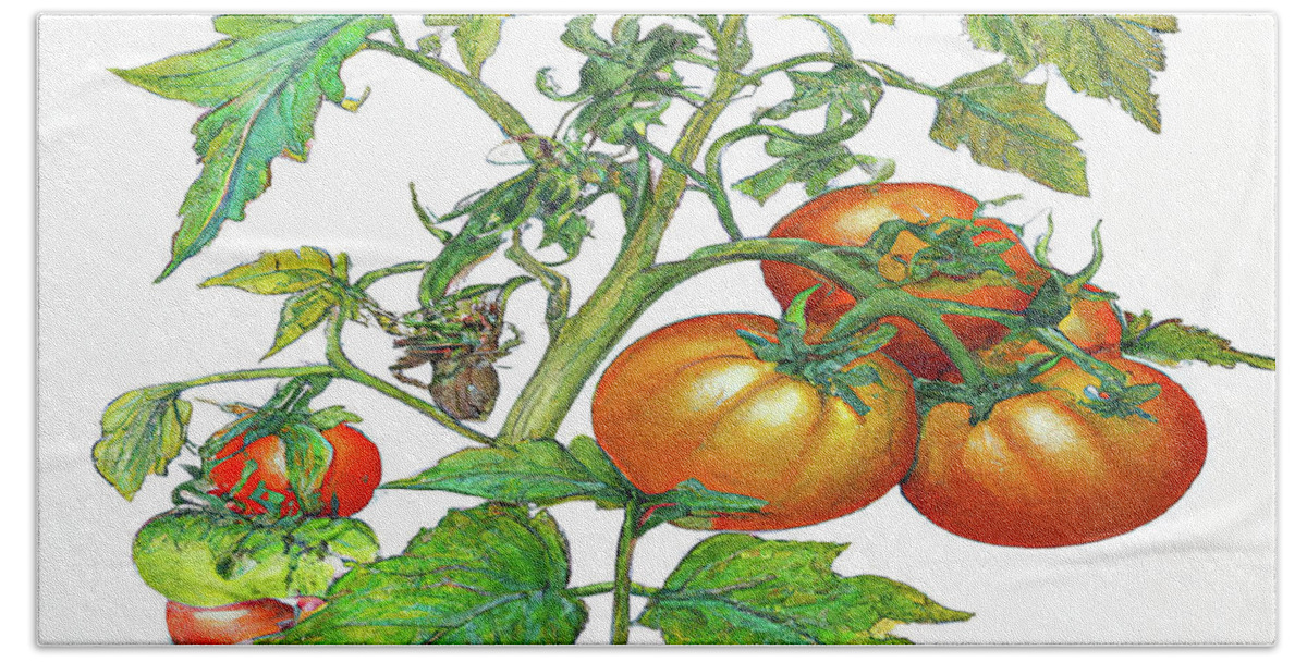 Tomatoes Beach Towel featuring the digital art 3 Tomatoes 3c by Cathy Anderson