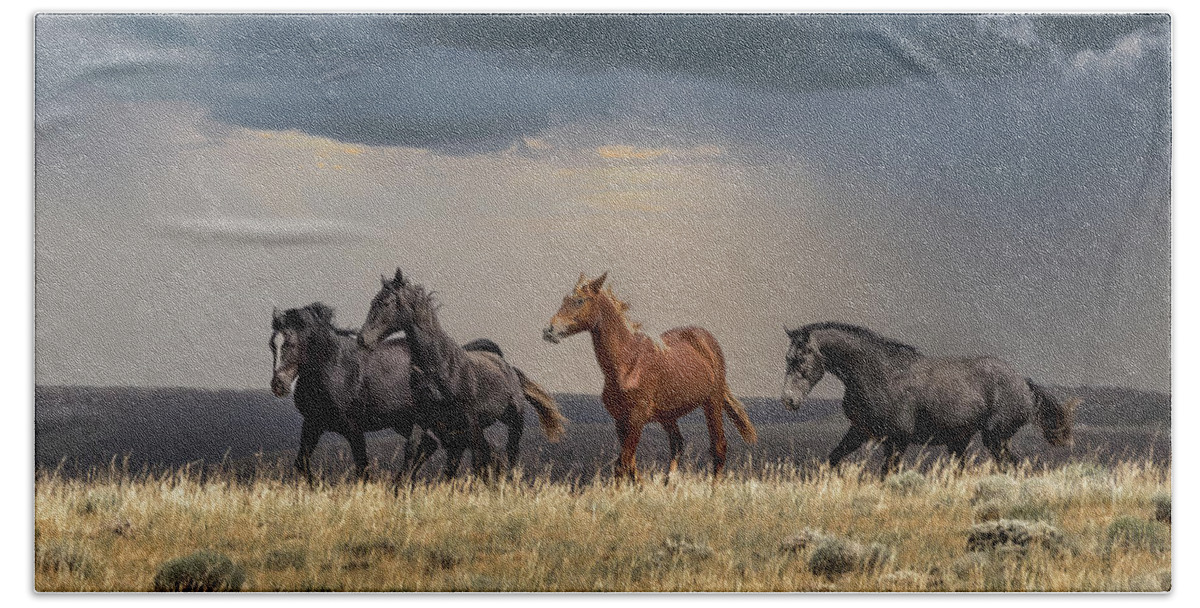 Horse Beach Towel featuring the photograph Wild Horses #33 by Laura Terriere