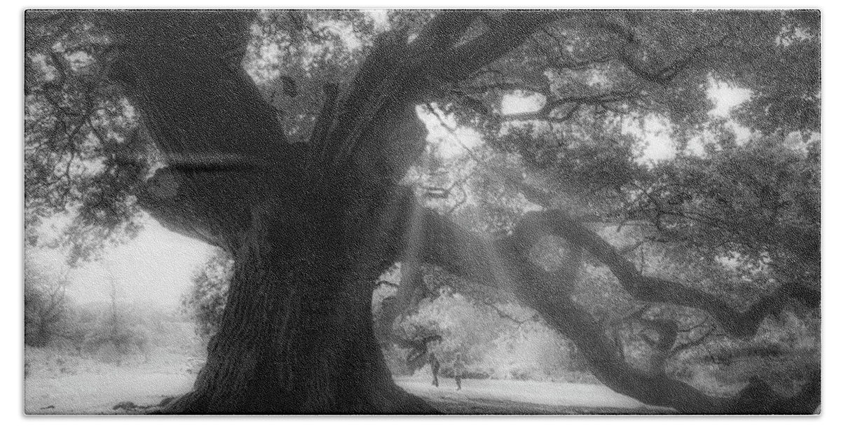 Trees Beach Towel featuring the photograph Old oak #4 by Remigiusz MARCZAK
