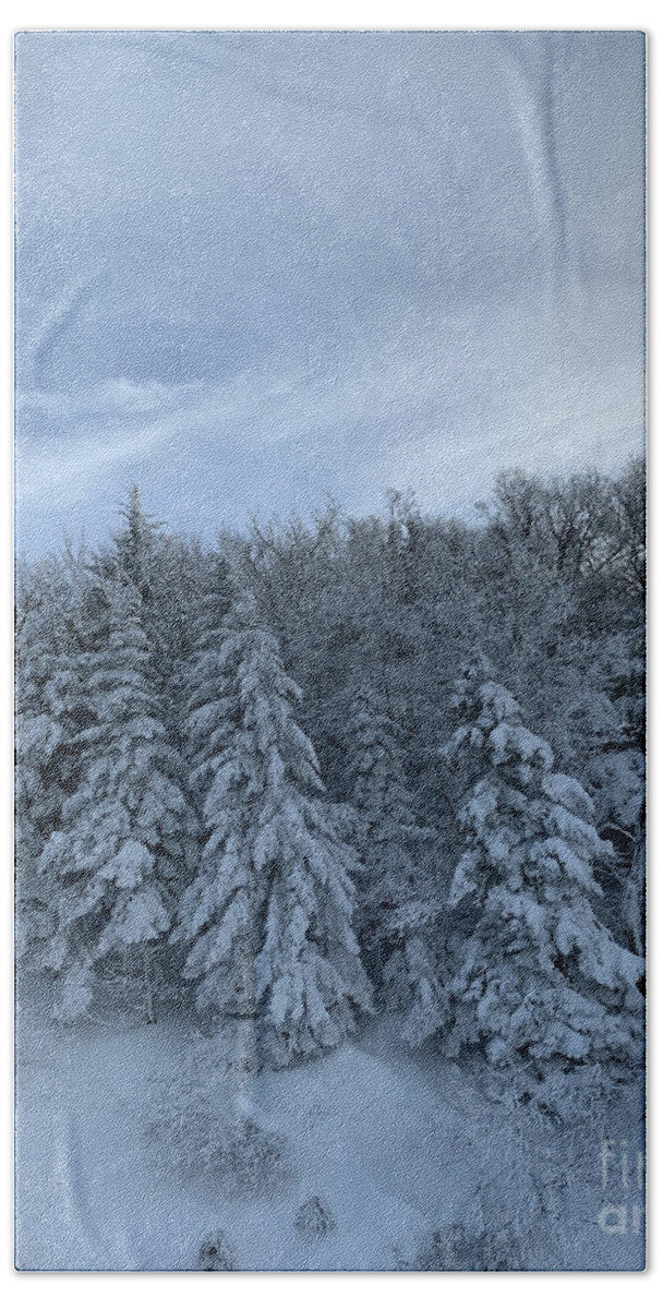  Beach Towel featuring the photograph Winter Wonderland by Annamaria Frost