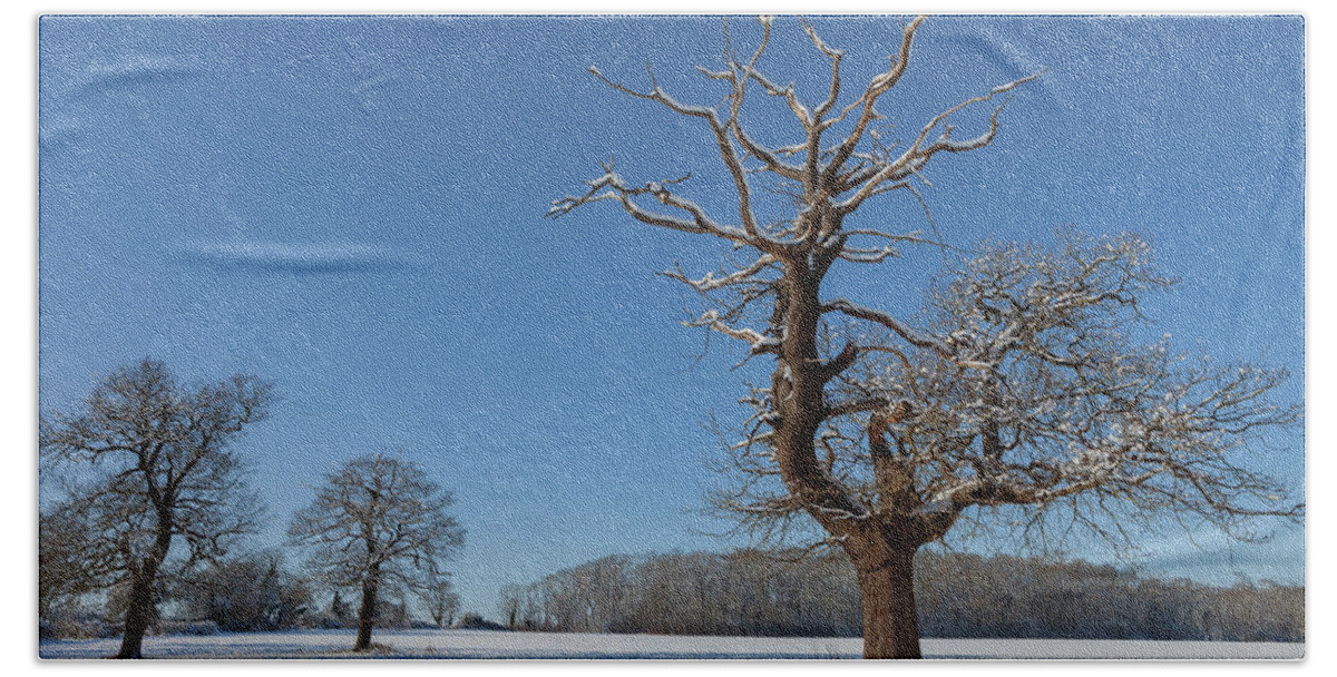 Winter Beach Towel featuring the photograph Winter Wonderland #4 by Nick Atkin
