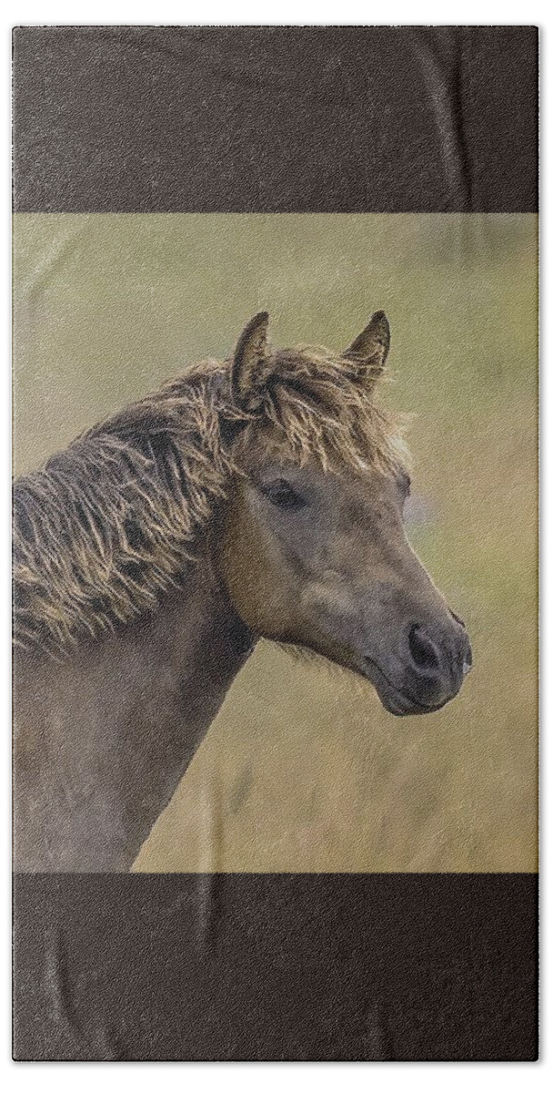Horse Beach Towel featuring the photograph Wild Horses #44 by Laura Terriere