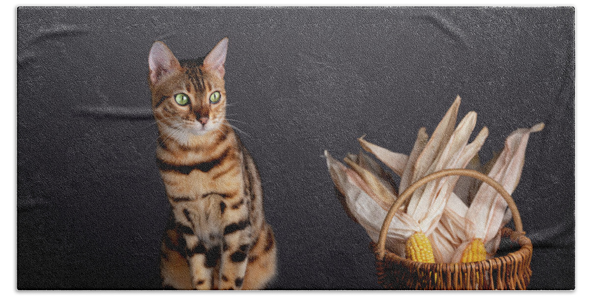 Bengal Beach Towel featuring the photograph Bengal Cat Portrait #5 by Nailia Schwarz