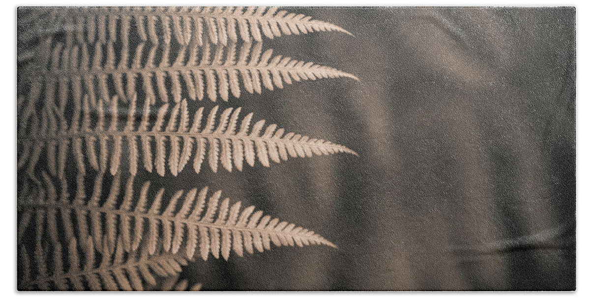 Alan Copson Beach Towel featuring the photograph Ferns #5 by Alan Copson