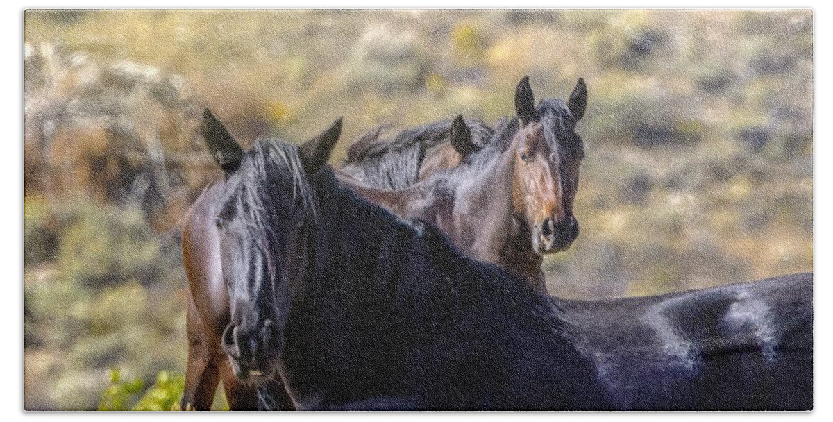 Horse Beach Towel featuring the photograph Wild Horses #5 by Laura Terriere