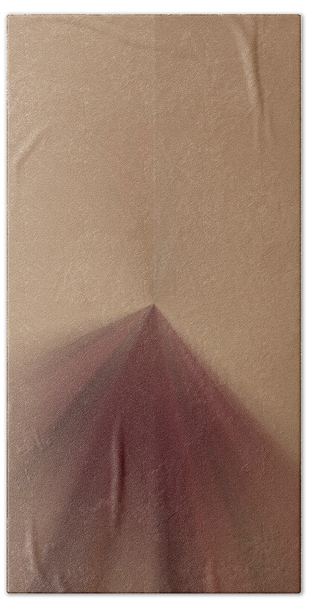 Burgundy Beach Towel featuring the digital art 59199 by John Emmett
