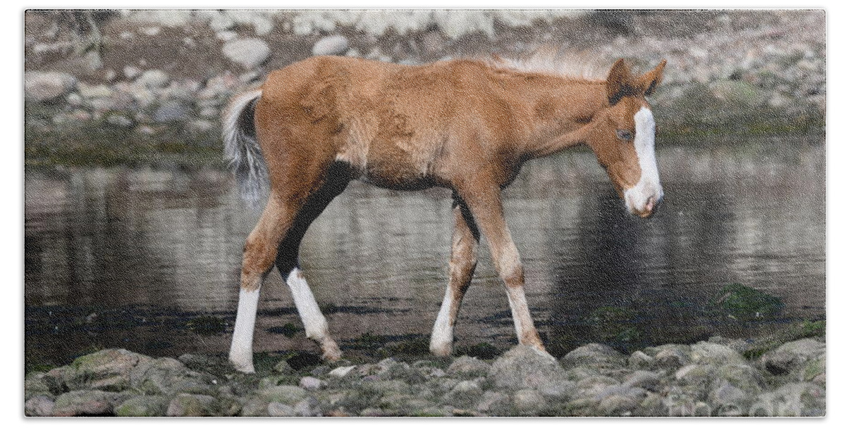 Salt River Wild Horses Beach Towel featuring the digital art Salt River Wild Horses #9 by Tammy Keyes