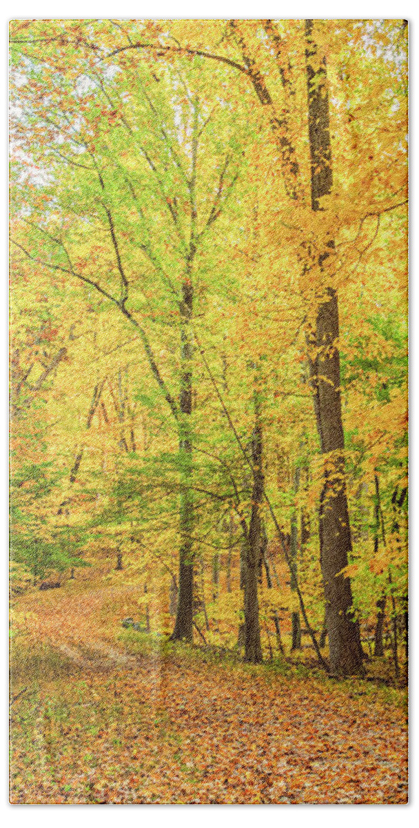 Fall Beach Towel featuring the photograph A Carpet of Leaves by Marianne Campolongo