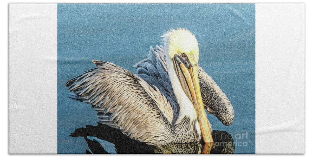 Brown Pelican Beach Towel featuring the photograph A Coastal Beauty by Joanne Carey