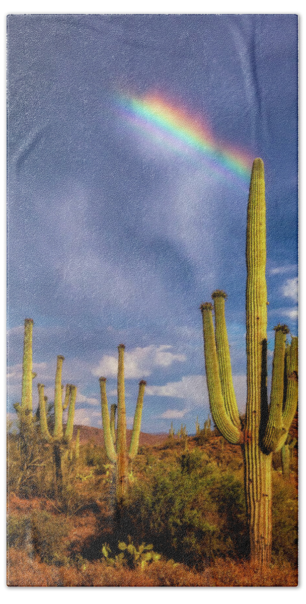 Arizona Beach Towel featuring the photograph A Divine Touch by Rick Furmanek