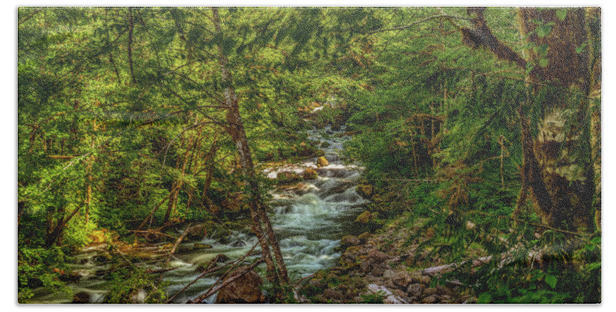 Water Beach Towel featuring the photograph A Forest Stream by Mark Joseph
