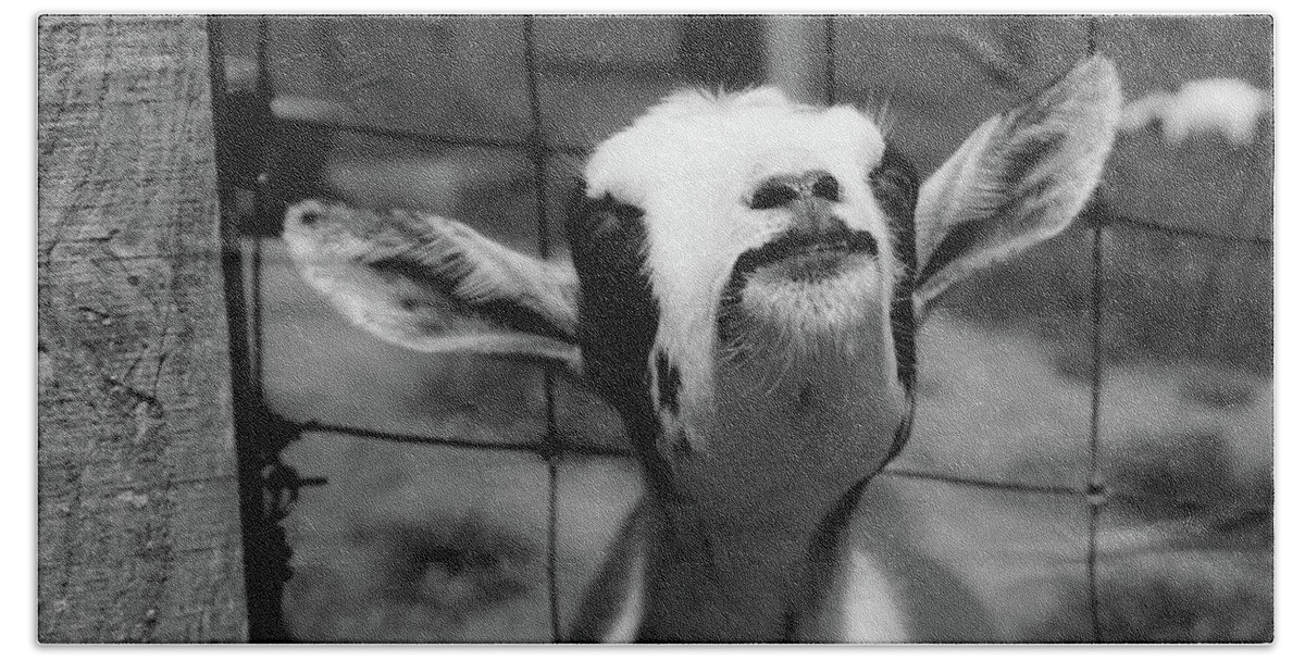 Goat Beach Towel featuring the photograph A Goat's Smile by Demetrai Johnson