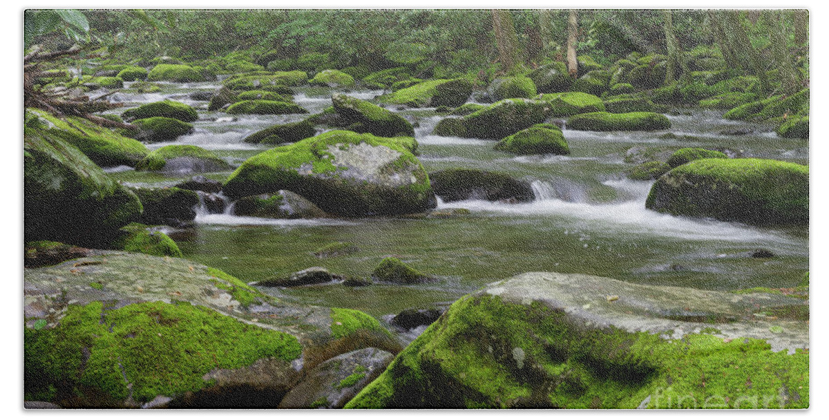 Smokies Beach Towel featuring the photograph A Maze of Moss by Phil Perkins