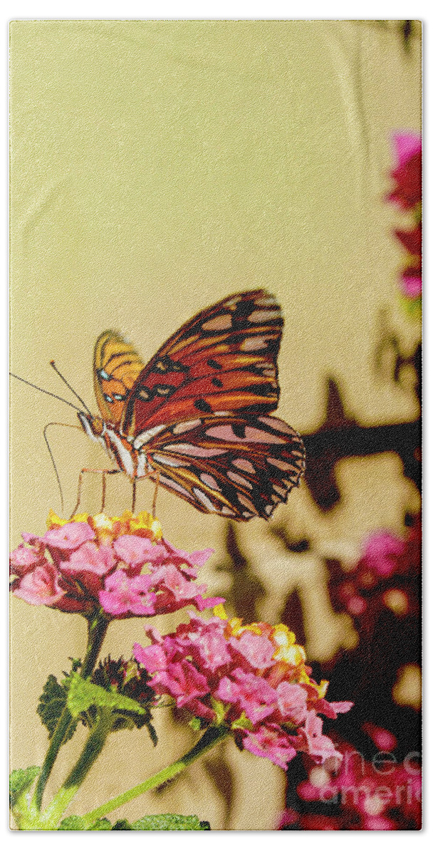Butterfly Beach Towel featuring the photograph A monarch butterfly sits on a flower while eating its nectar.	 by Gunther Allen