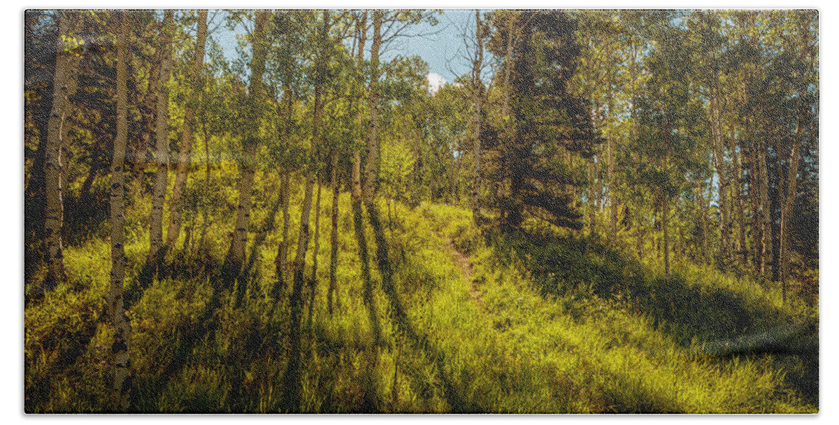 Photograph Beach Towel featuring the photograph A Path Through The Aspens by John A Rodriguez