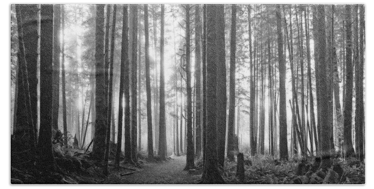 Landscape Beach Towel featuring the photograph A Path Through The Old Growth Black and White by Allan Van Gasbeck