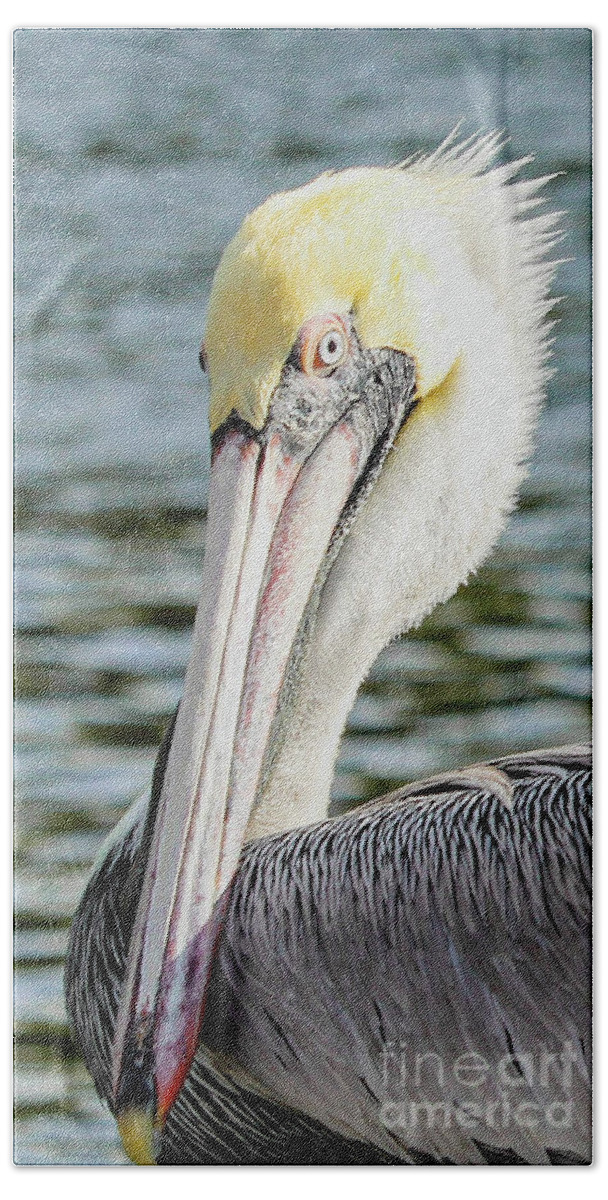 Pelican Beach Towel featuring the photograph A Pretty Face by Joanne Carey