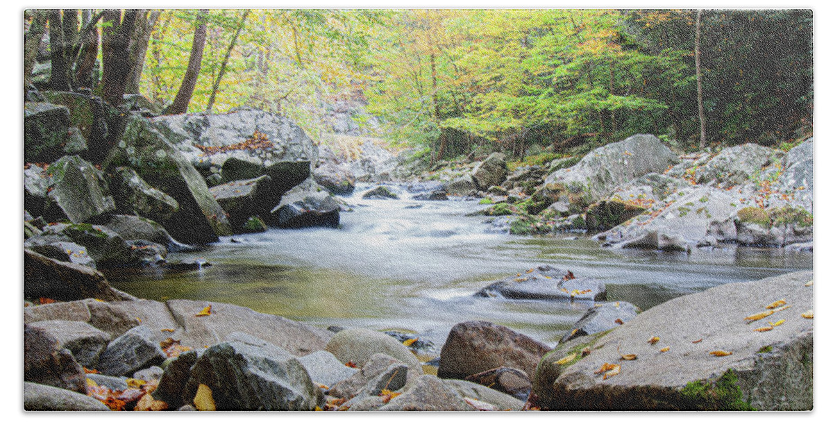 Mountain Stream Beach Towel featuring the photograph A Rocky Mountain Stream in the Great Smokey Mountains by Bob Decker