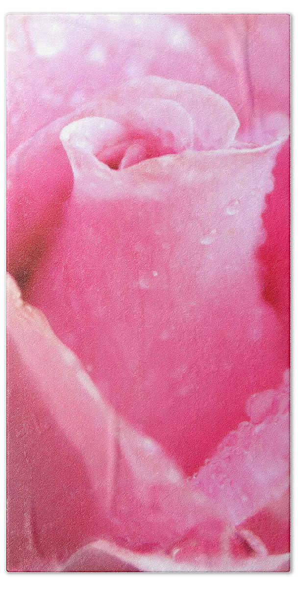 Rose Beach Towel featuring the photograph A Rose Is A Rose by Lens Art Photography By Larry Trager
