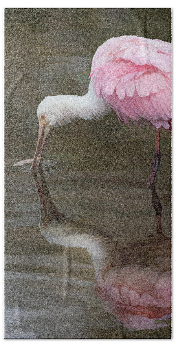 Bird Beach Towel featuring the photograph A Roseate Spoonbill Reflection by Sylvia Goldkranz