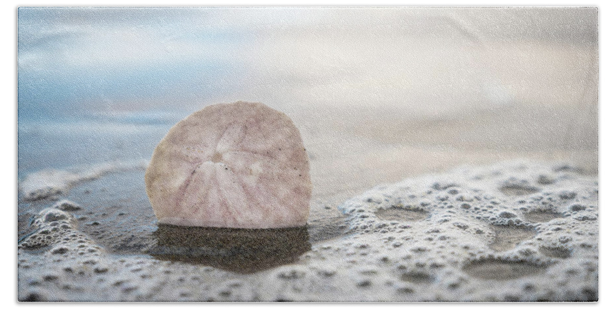 Ocean Beach Towel featuring the photograph A Shore Thing by Bryan Xavier