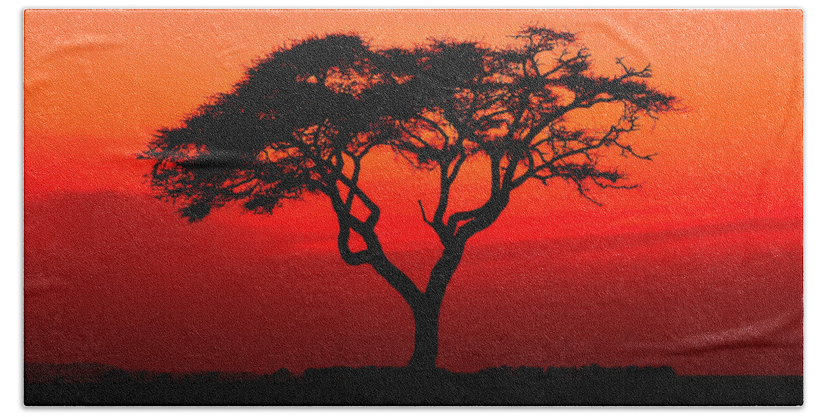 Africa Beach Towel featuring the photograph A Solitary Acacia Tree in the African Sunset by Mitchell R Grosky