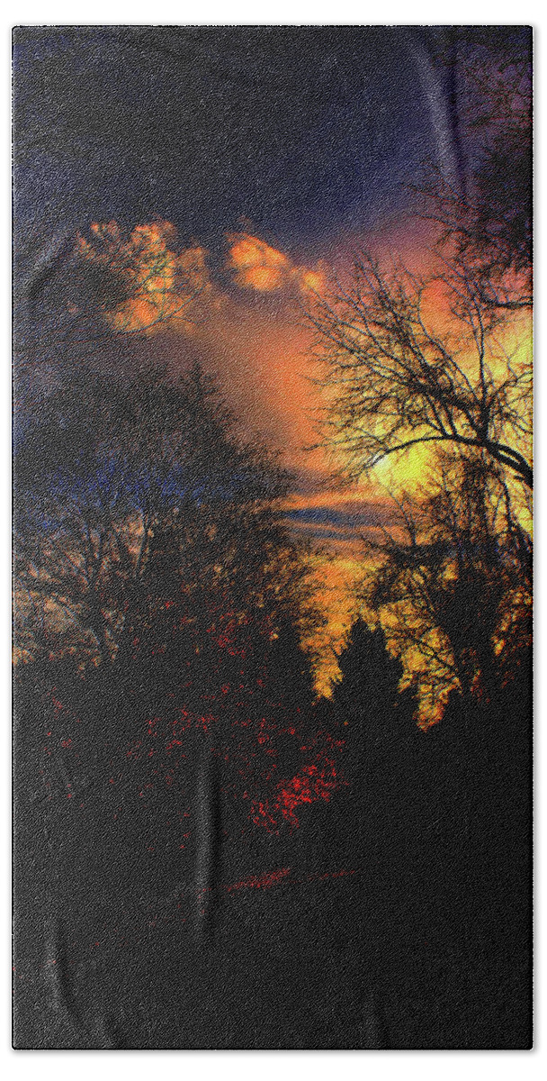Sunset Beach Towel featuring the photograph A Stroll into the Evening Woods by Christopher Reed