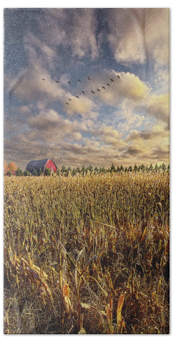 Plant Beach Towel featuring the photograph A Time of Harvest by Phil Koch
