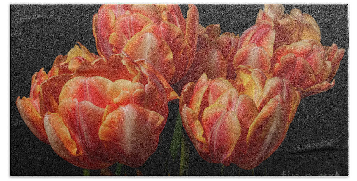 Tulips Beach Sheet featuring the photograph Abundance by Doug Norkum